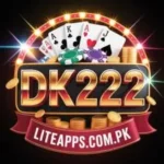 dk 222 game apk logo image
