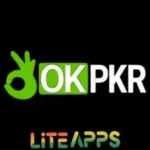ok pkr game apk logo image