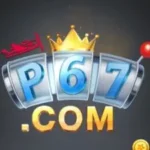 p67 game logo image