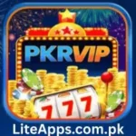 pkr vip game apk logo