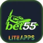 bat55 game logo image