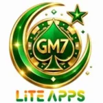 gm 7 game logo image
