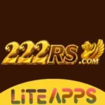 222rs game logo image