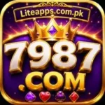 7987 game logo image