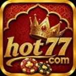 HOT 77 GAME LOGO IMAGE