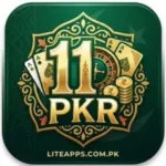 PKR11 Game APK logo image