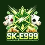 e 999 game logo image