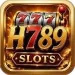 h789 game logo image