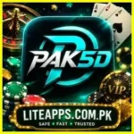 pk5d game logo image