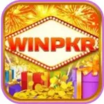 vinpkr game logo image