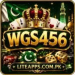wg 456 game logo image